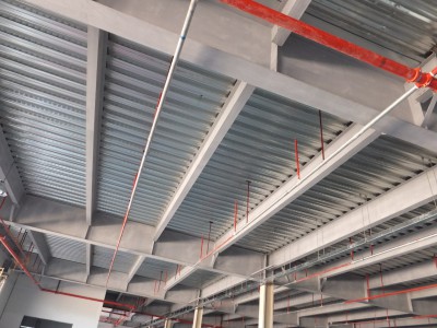 卡撒天骄家居（惠州）厂房   钢结构多高层建筑  厂房
